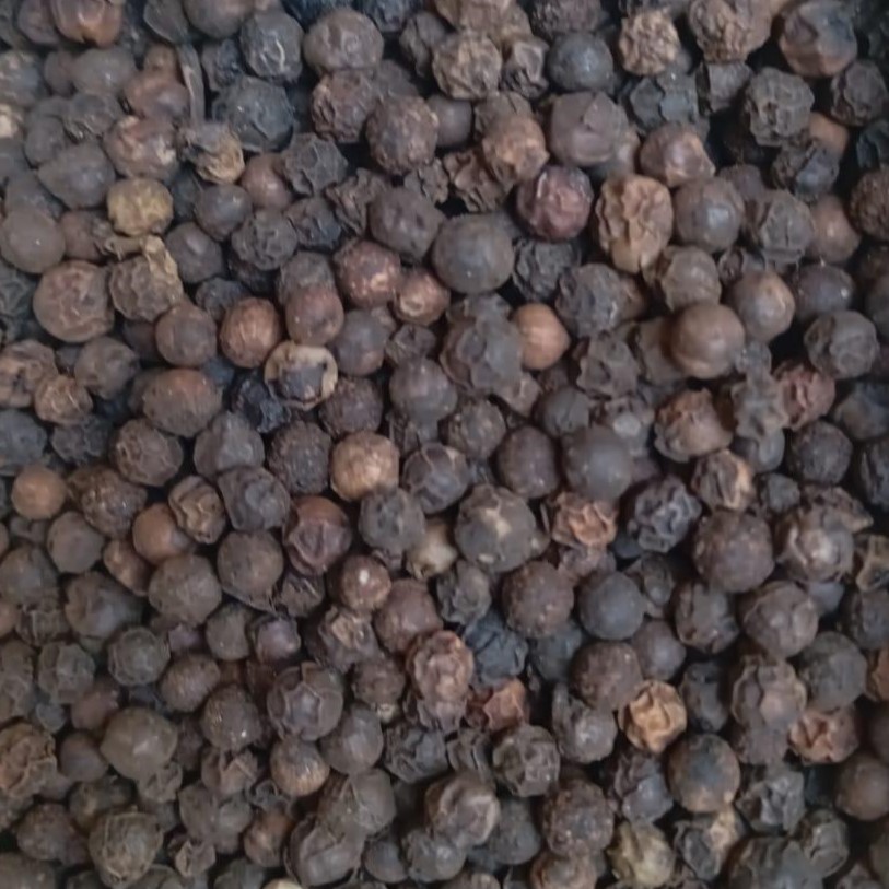 Black Pepper - کالی مرچ