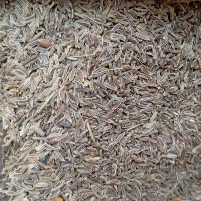 Black Cumin (Zeera) - کالا زیرہ