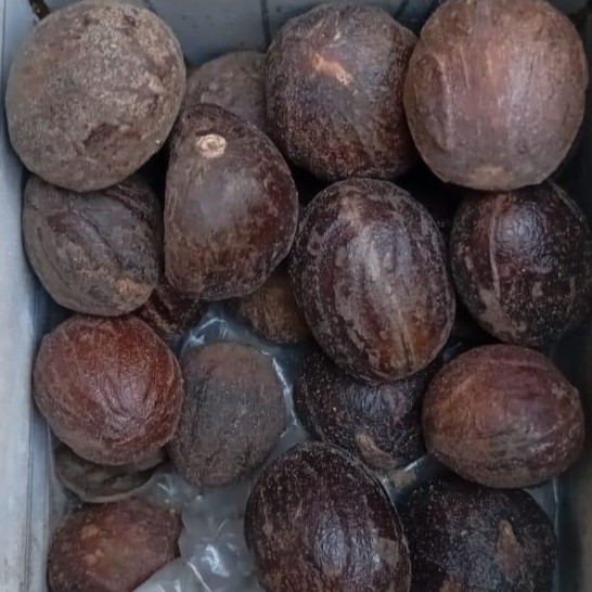 Nutmeg (Jaifal) - جائفل