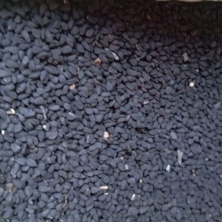 Black Seed (Kalongi) - کلونجی