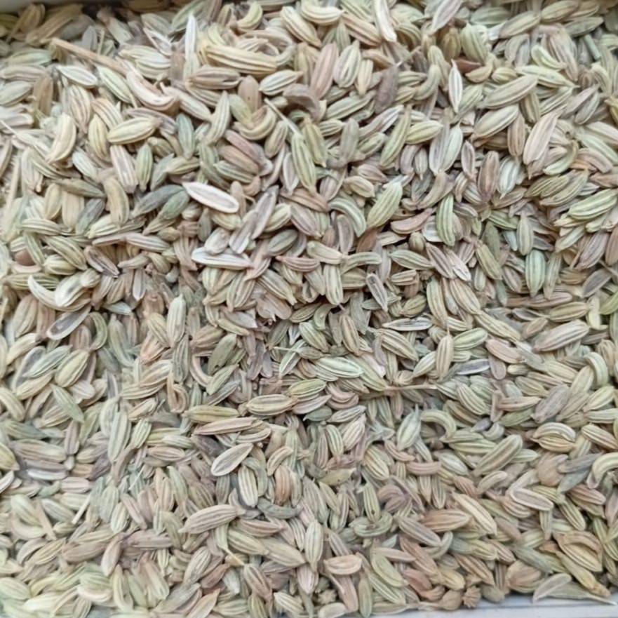 Fennel Seeds - سونف