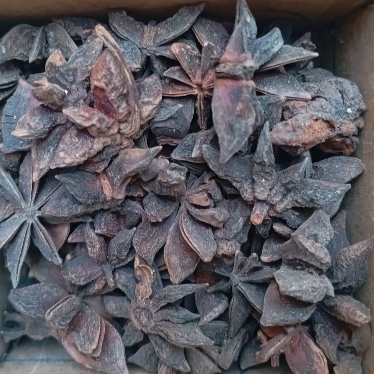 Star Anise - بادیاں کے پھول